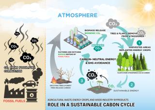 Overcoming AF challenges in achieving carbon neutrality